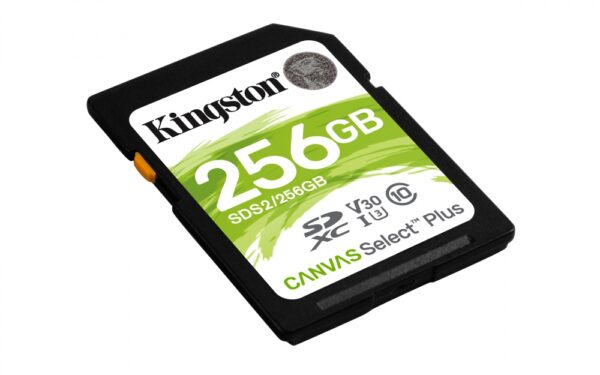 Memoria Flash Kingston Canvas Select Plus, 256GB SDXC UHS-I Clase 10 Memorias Flash Kingston - Image 2